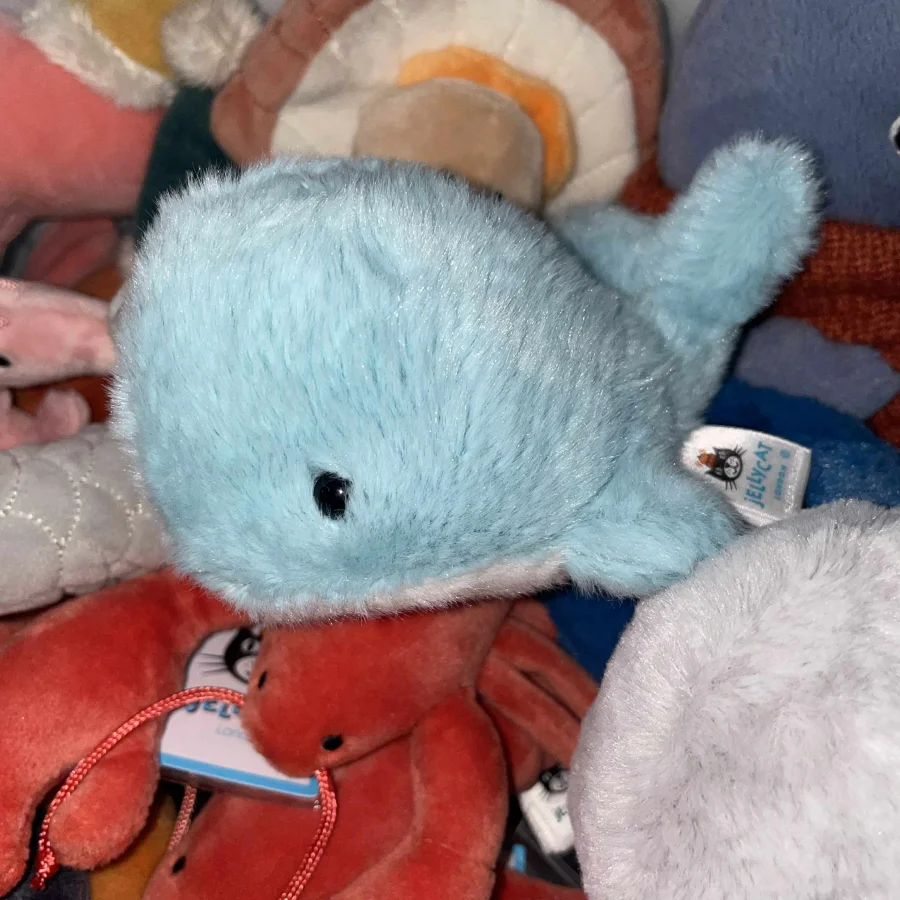 Side - Fluffy Whale photo by Tiff