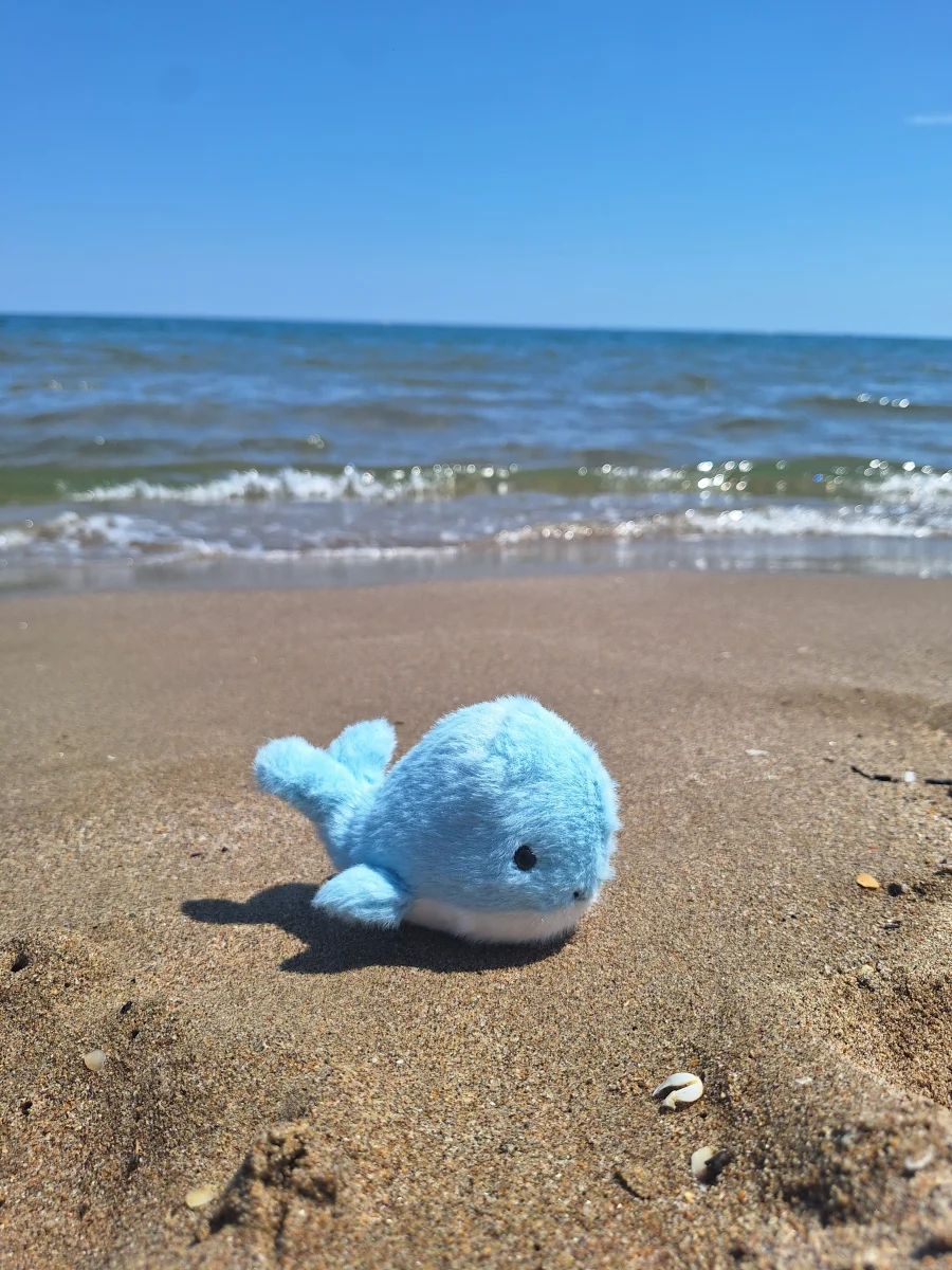 Lifestyle - Fluffy Whale photo by BuckyJelly