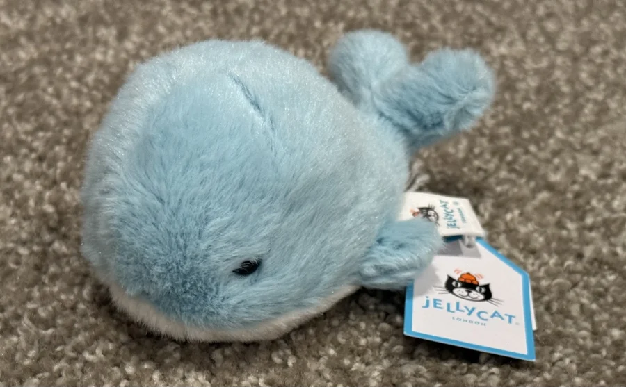 Front - Fluffy Whale photo by Bunnylove