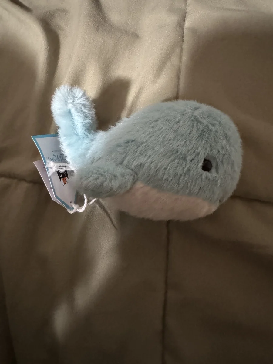 Side - Fluffy Whale photo by jelly_kayla