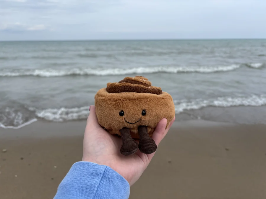 Front - Amuseables Cinnamon Bun photo by olliejellies