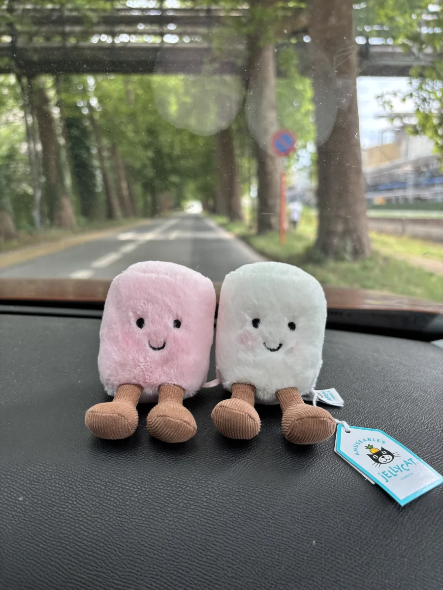 Front - Amuseables Pink and White Marshmallows photo by julielampers