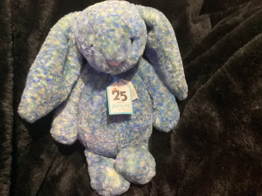 Front - Bashful Luxe Bunny Azure - Medium photo by Jellybunnys1984