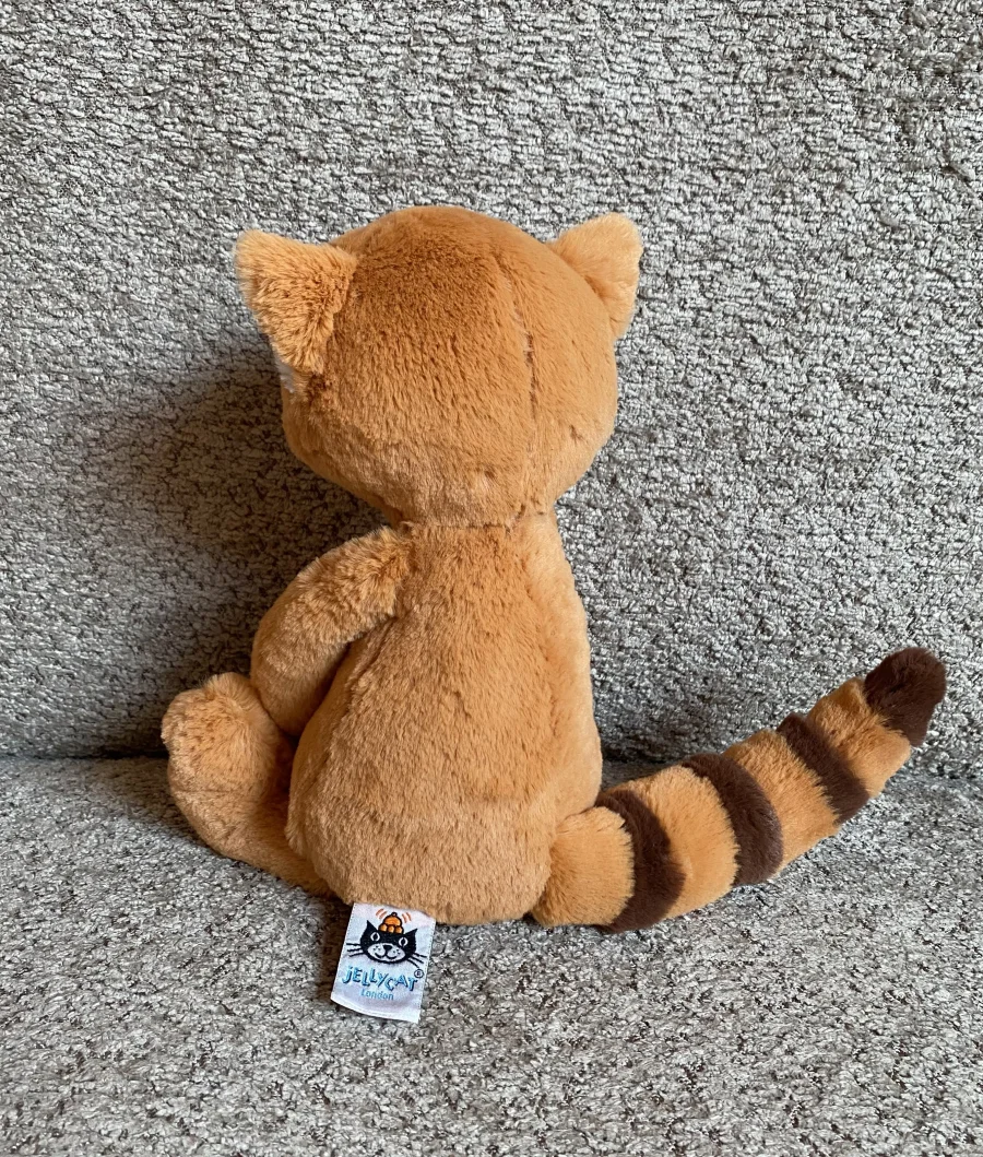 Back - Bashful Red Panda photo by Abyss'Dragons