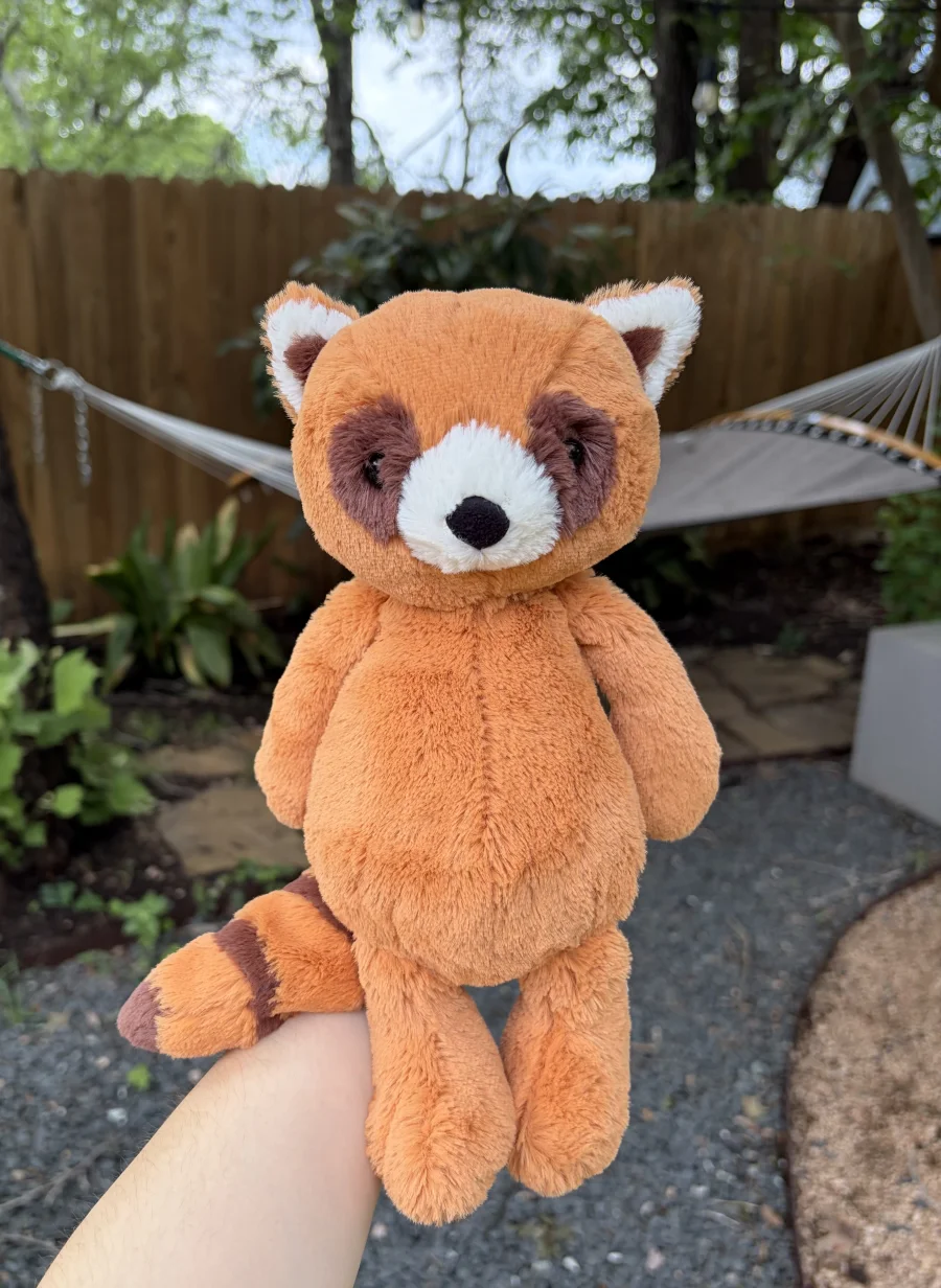 Front - Bashful Red Panda photo by AmberrGolden