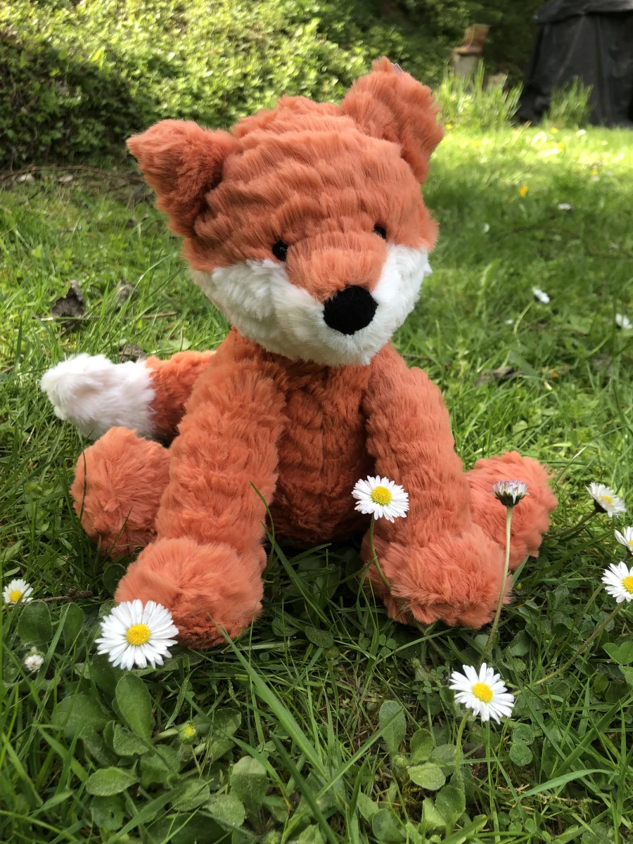 Lifestyle - Fuddlewuddle Fox photo by Godlana