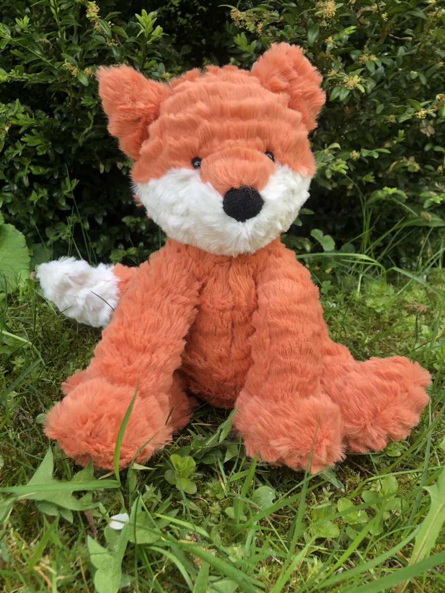 Lifestyle - Fuddlewuddle Fox photo by Godlana