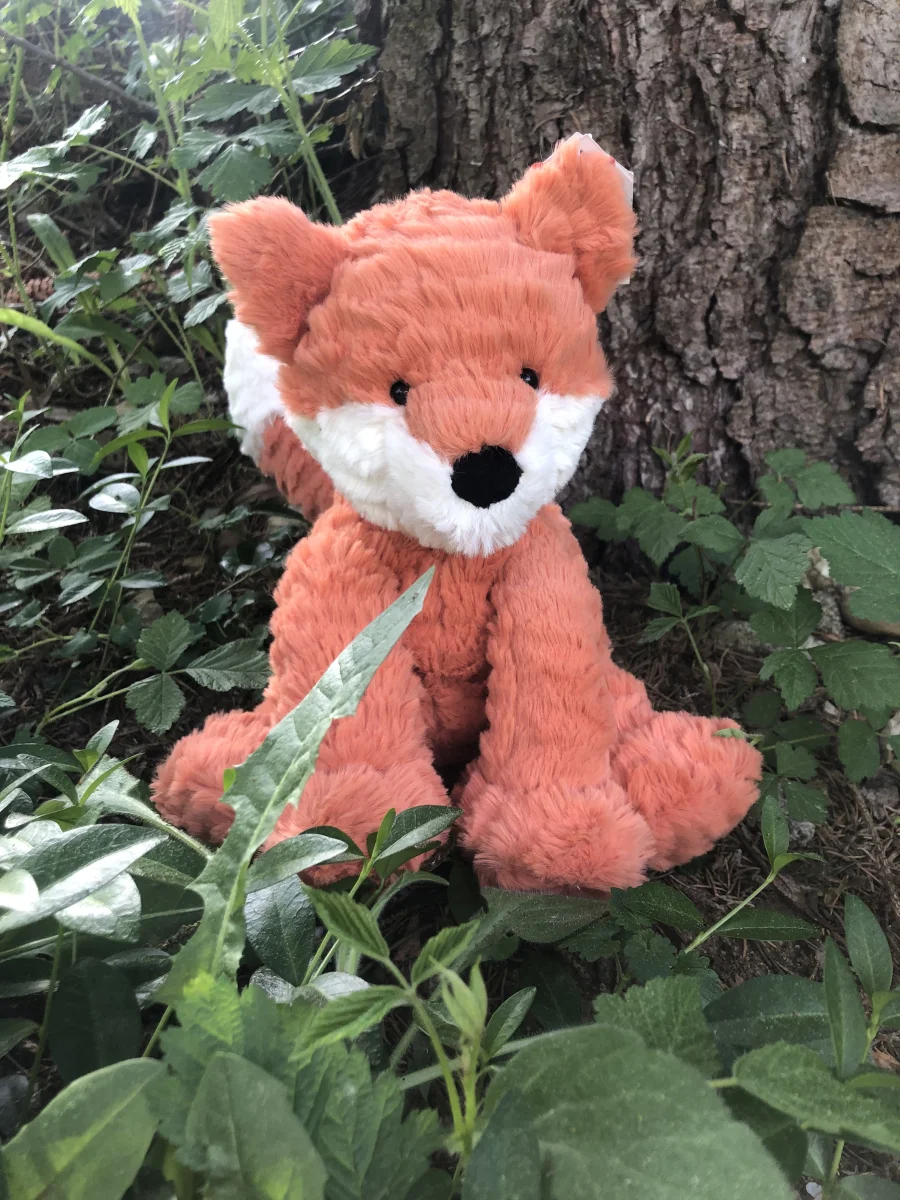 Front - Fuddlewuddle Fox photo by Godlana
