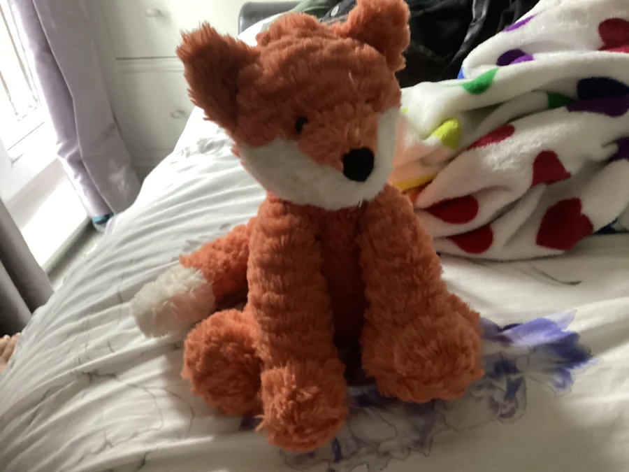 Front - Fuddlewuddle Fox photo by Isabellexcoffee