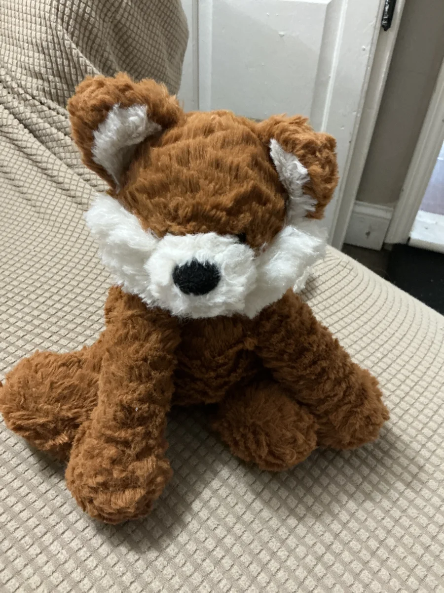 Front - Fuddlewuddle Fox photo by Casapage
