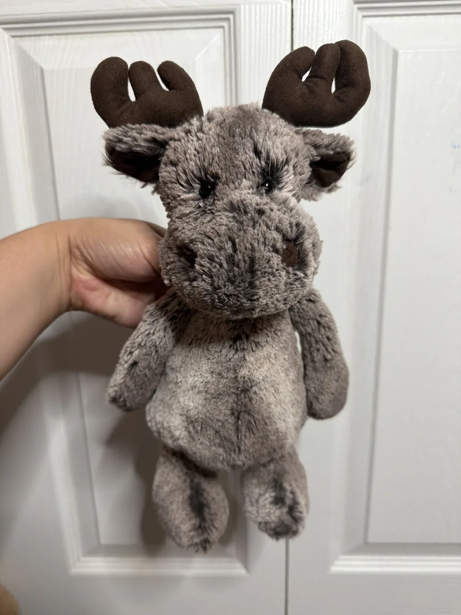 Front - Bashful Marty Moose - Medium photo by Anadina’sJellies