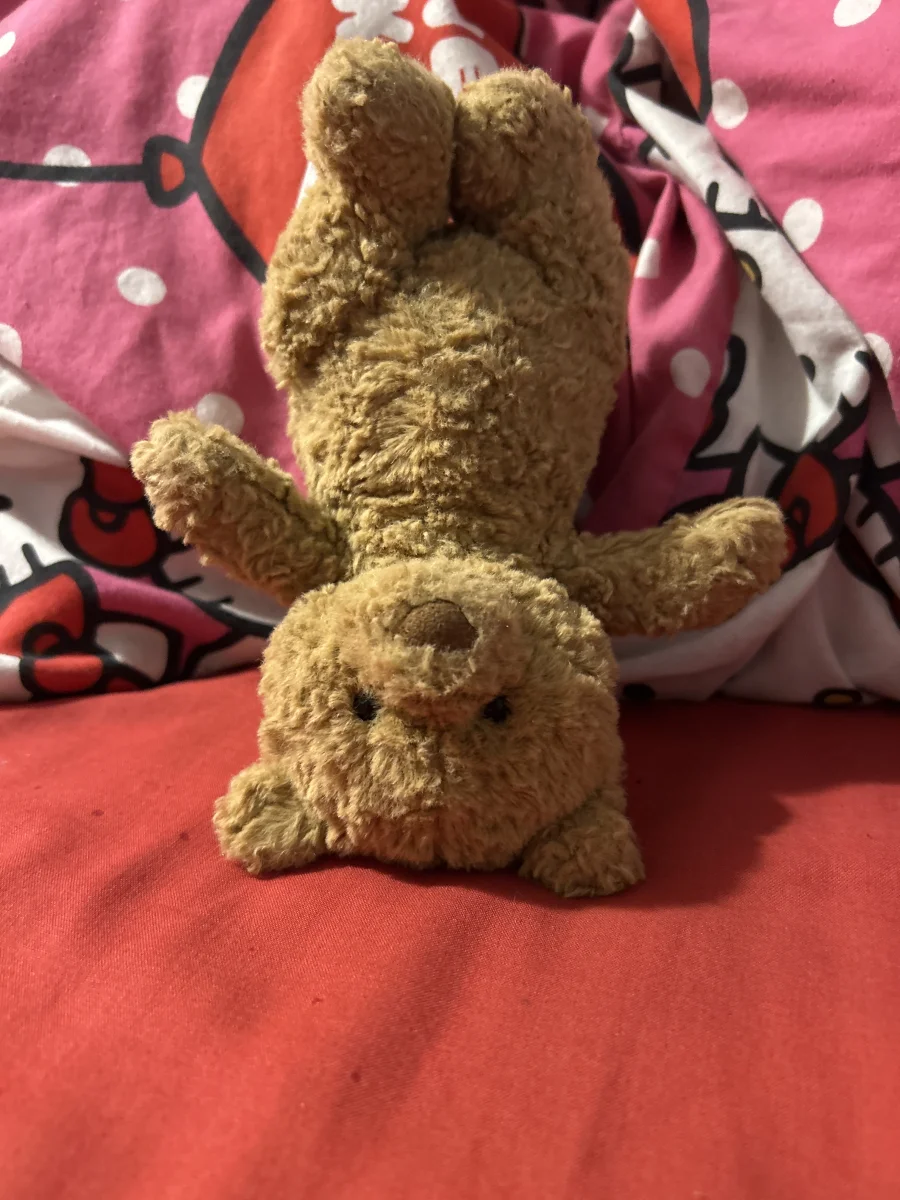 Lifestyle - Bartholomew Bear - Tiny photo by Avahasduck