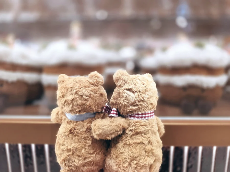 Back - Bartholomew Bear - Tiny photo by QtJellies