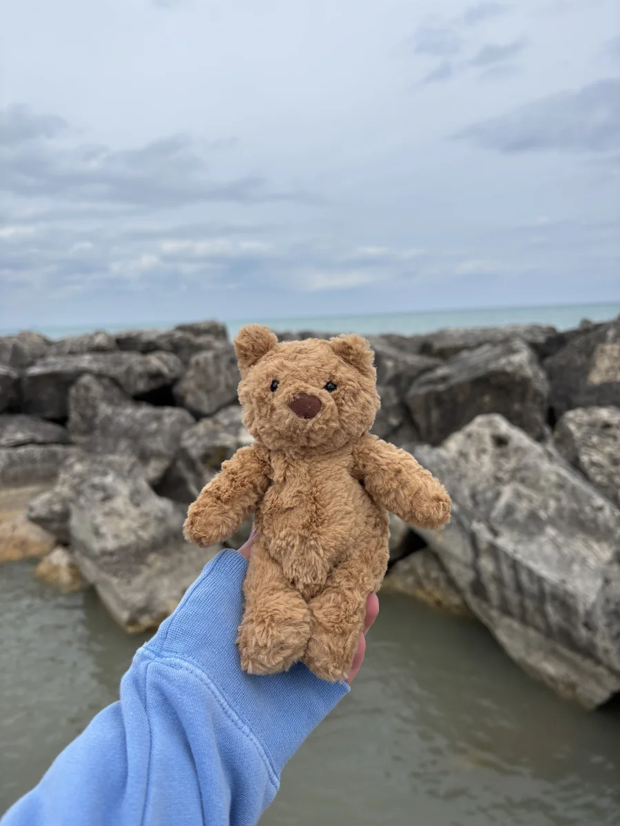 Front - Bartholomew Bear - Tiny photo by olliejellies