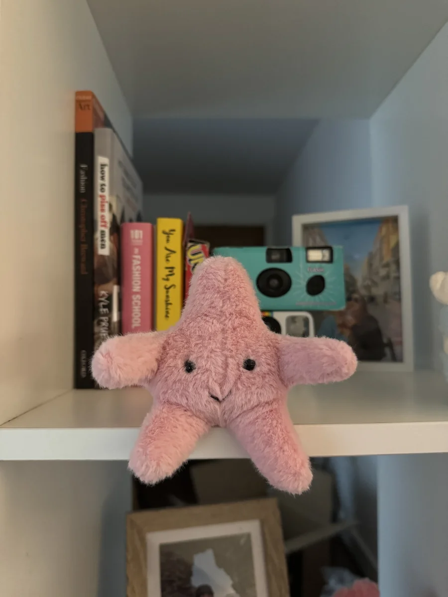 Lifestyle - Fluffy Starfish photo by Georgiasjellys