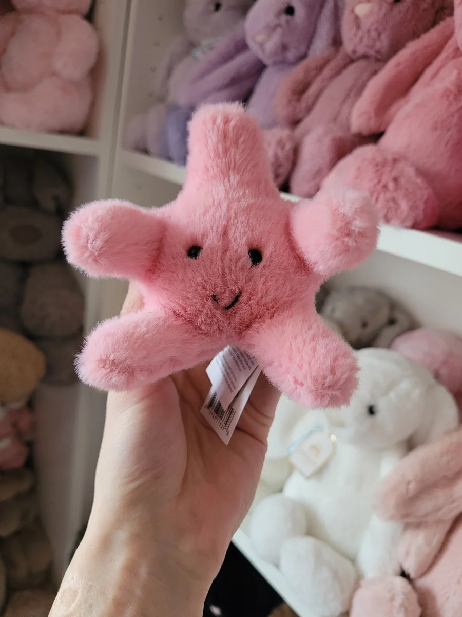 Front - Fluffy Starfish photo by Kitsfae