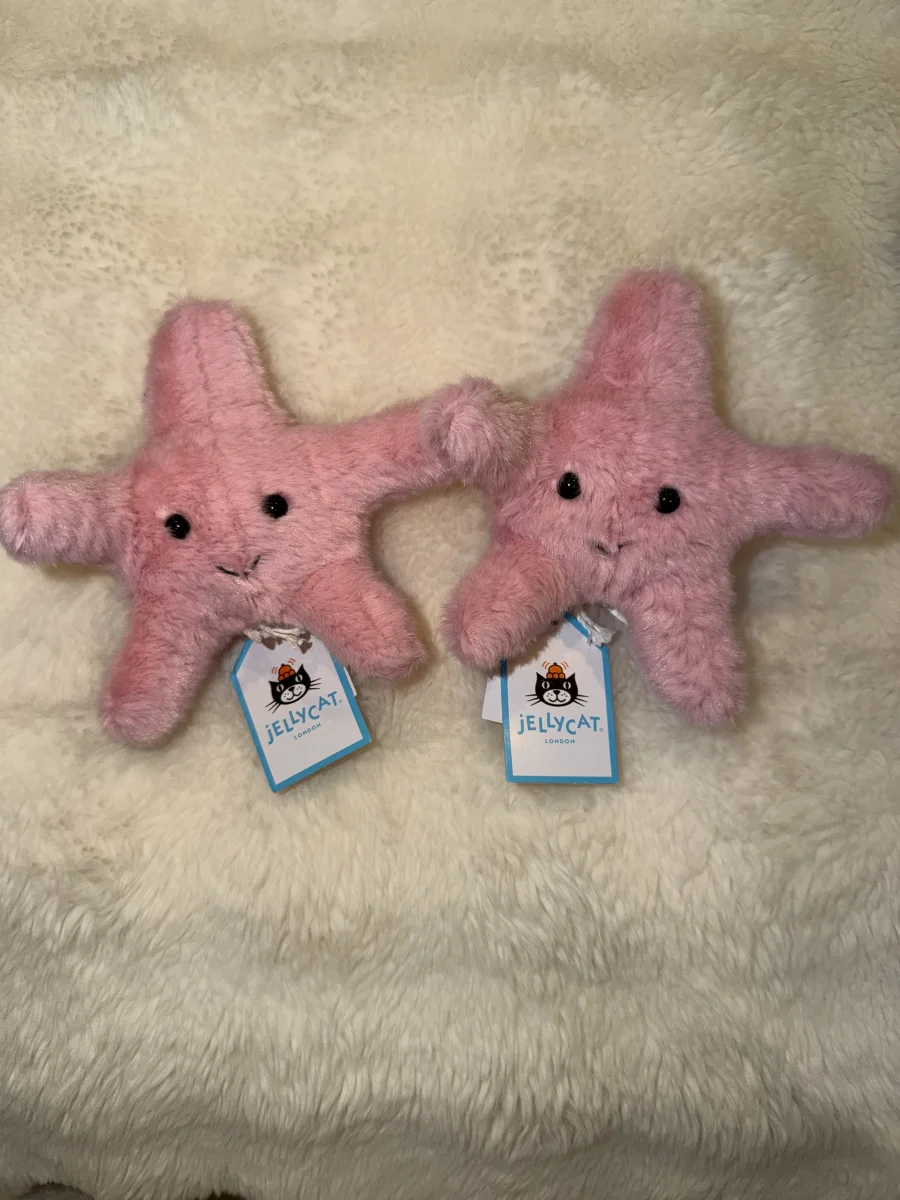 Front - Fluffy Starfish photo by MaisieRB