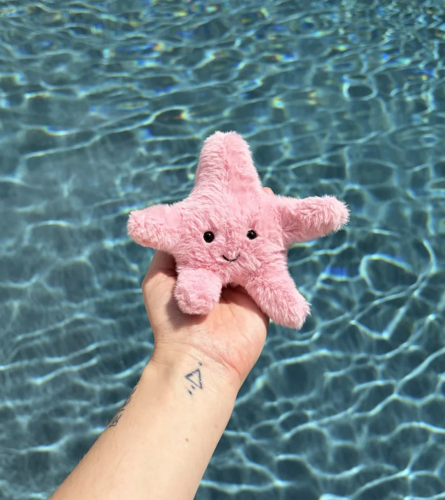 Front - Fluffy Starfish photo by AmberrGolden