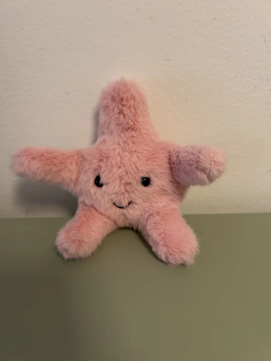 Front - Fluffy Starfish photo by Martineee