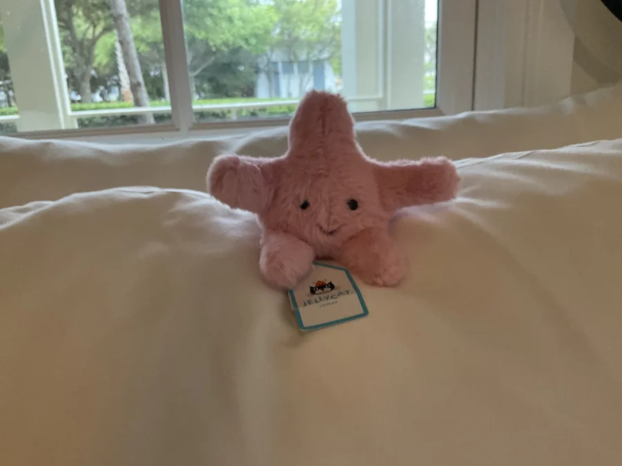 Lifestyle - Fluffy Starfish photo by CUPECAKE7