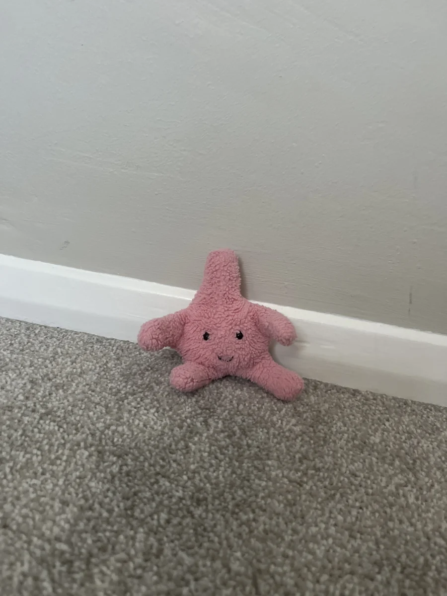 Front - Fluffy Starfish photo by Isla’s jellycats Xx