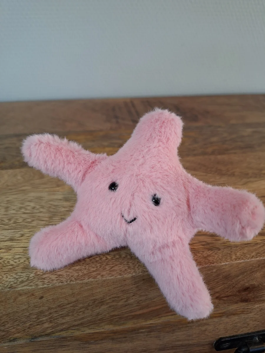 Front - Fluffy Starfish photo by Sofie