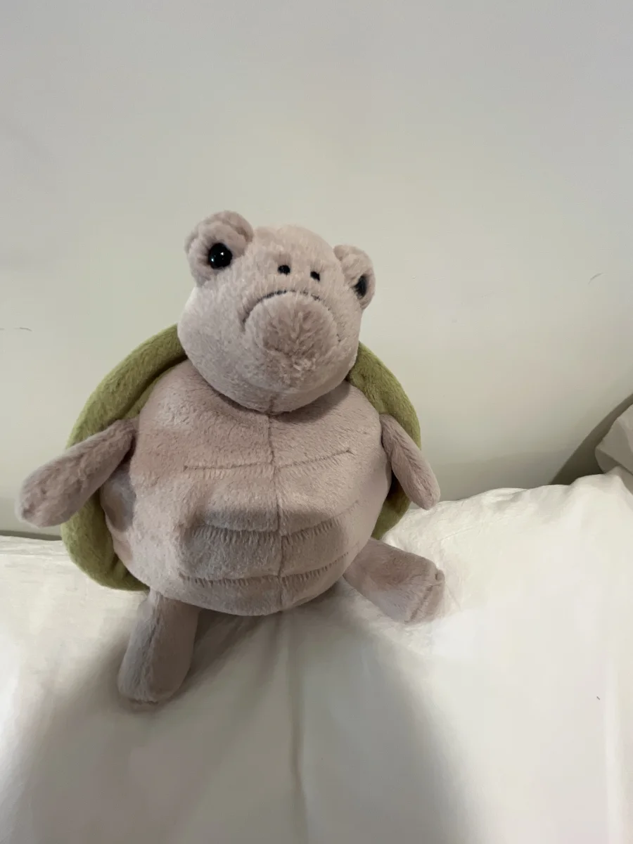 Front - Timmy Turtle photo by EmeryR