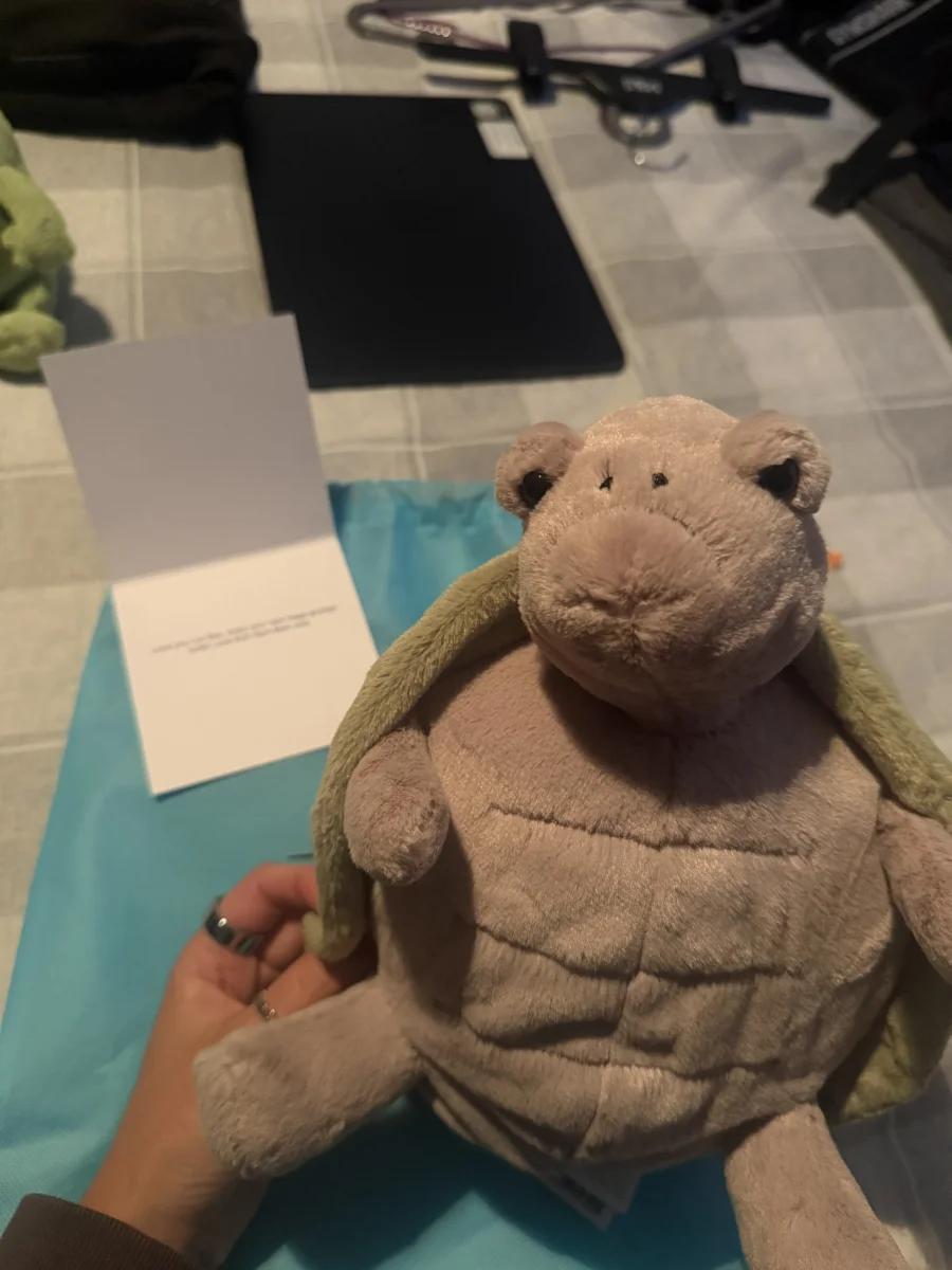 Front - Timmy Turtle photo by lozbozjellys