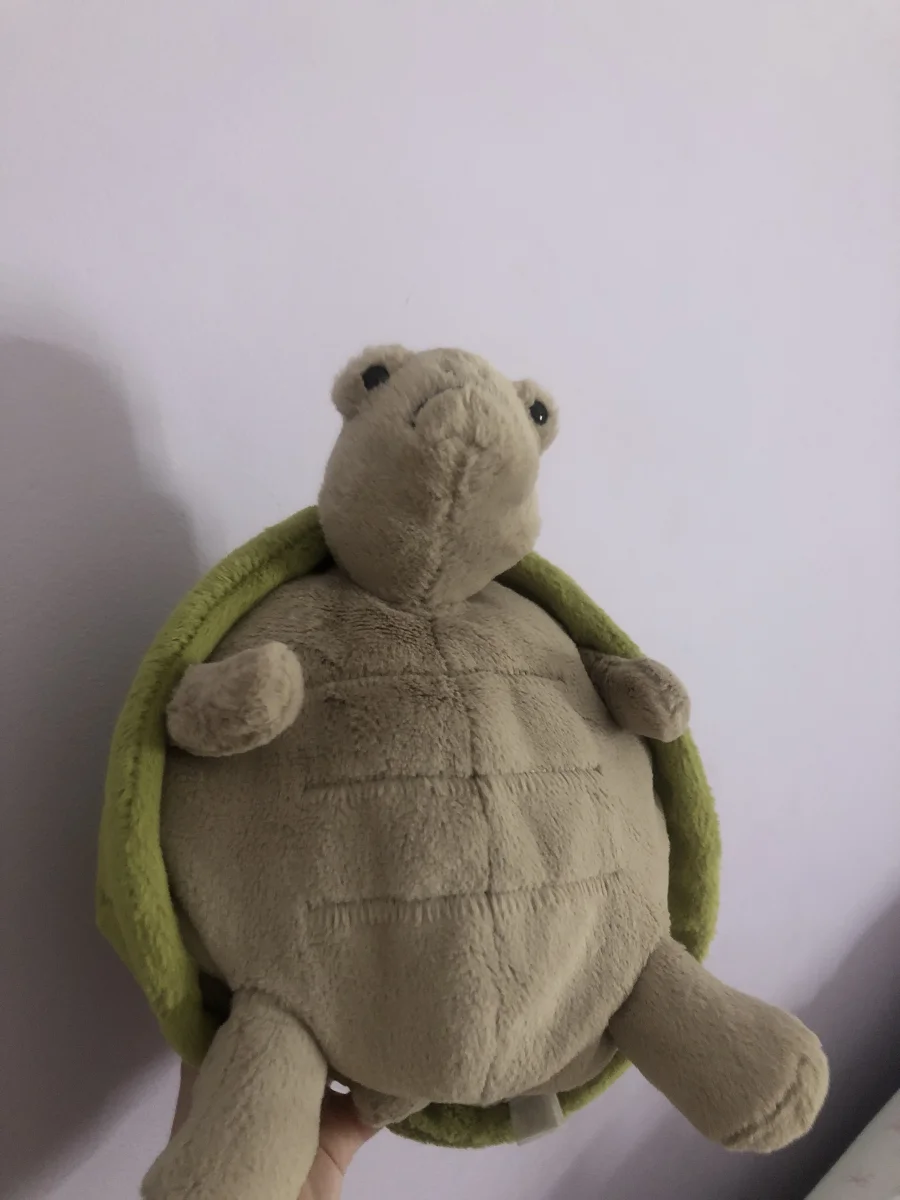 Front - Timmy Turtle photo by Maisielilley