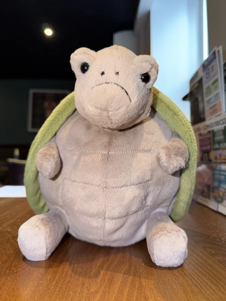 Front - Timmy Turtle photo by SL4T3R_99