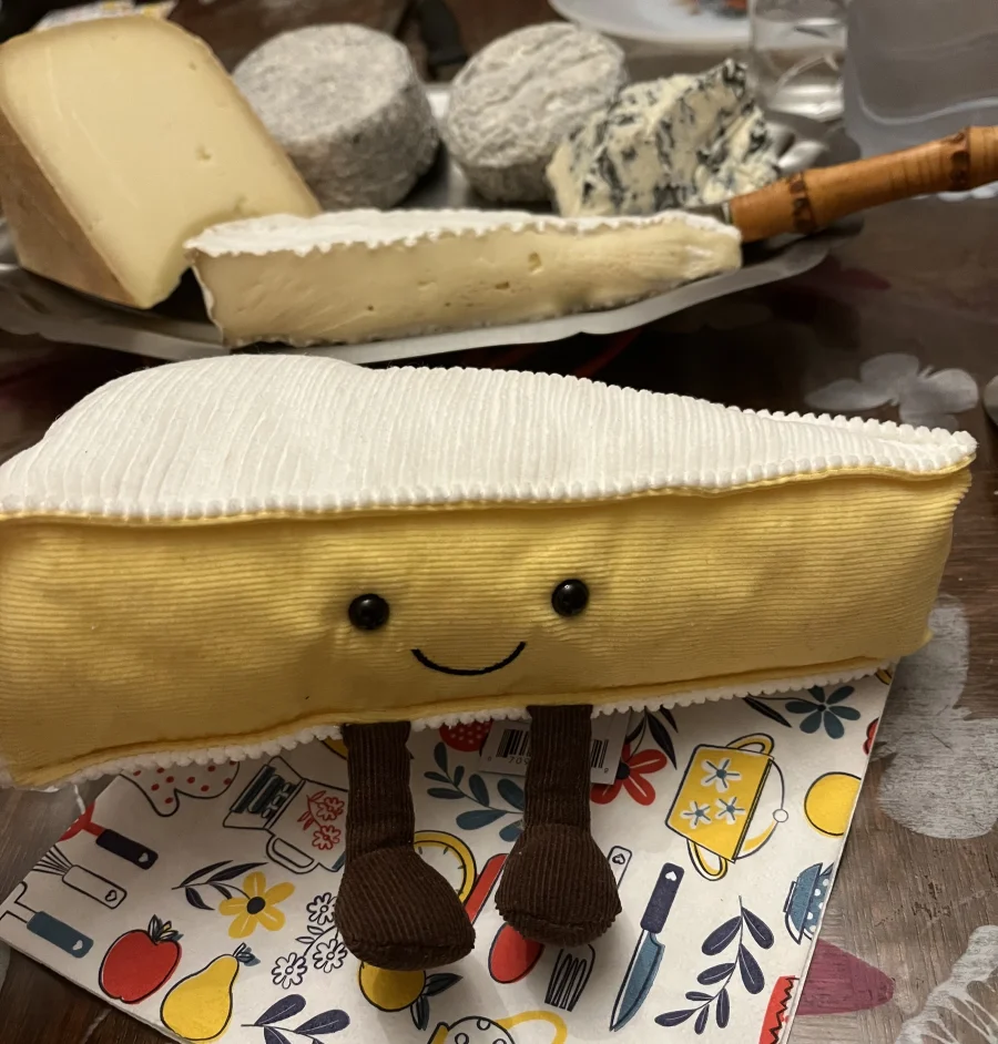 Front - Amuseables Brie photo by Jellyna