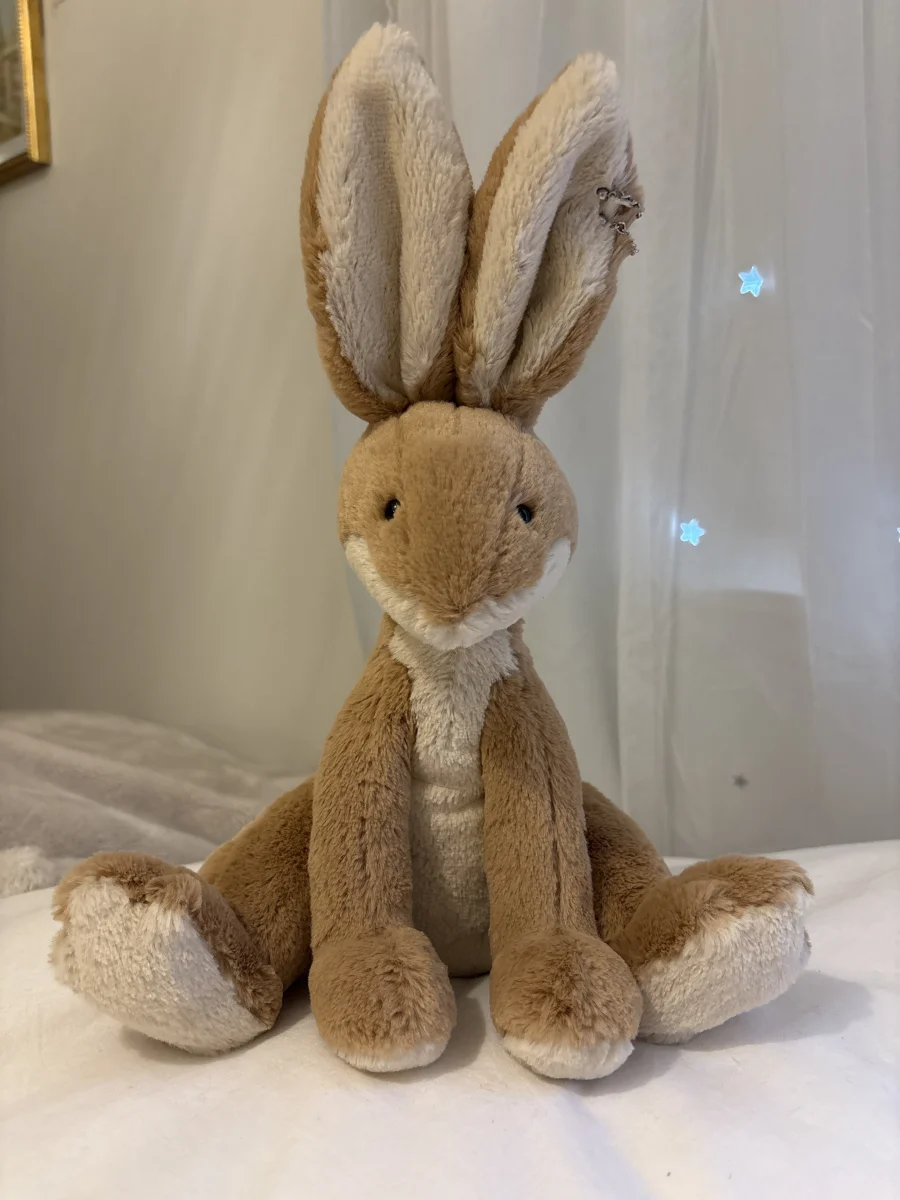 Front - Horticus Hare photo by saigesjellies