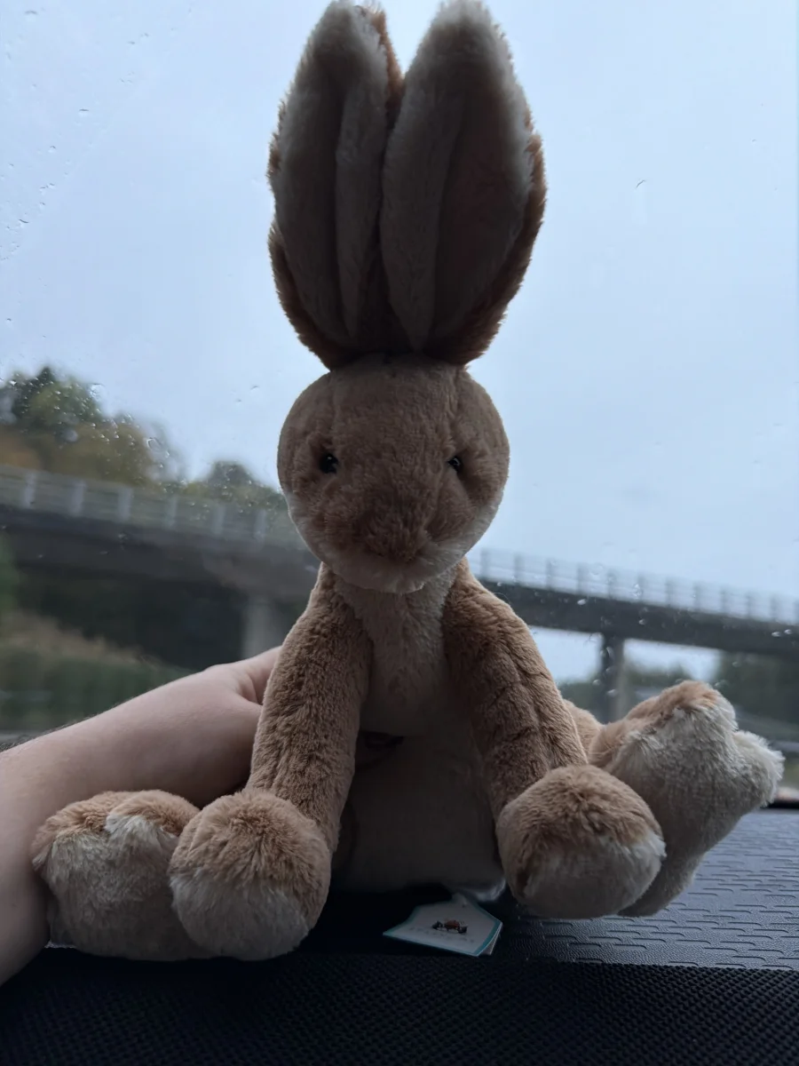 Front - Horticus Hare photo by Madison_Marie