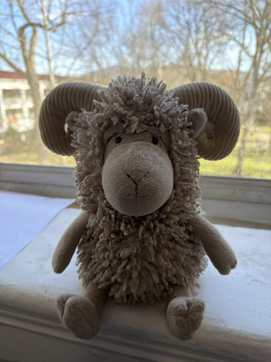 Front - Ramsley Sheep photo by katsjellies