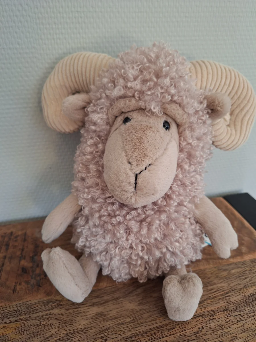 Front - Ramsley Sheep photo by Sofie