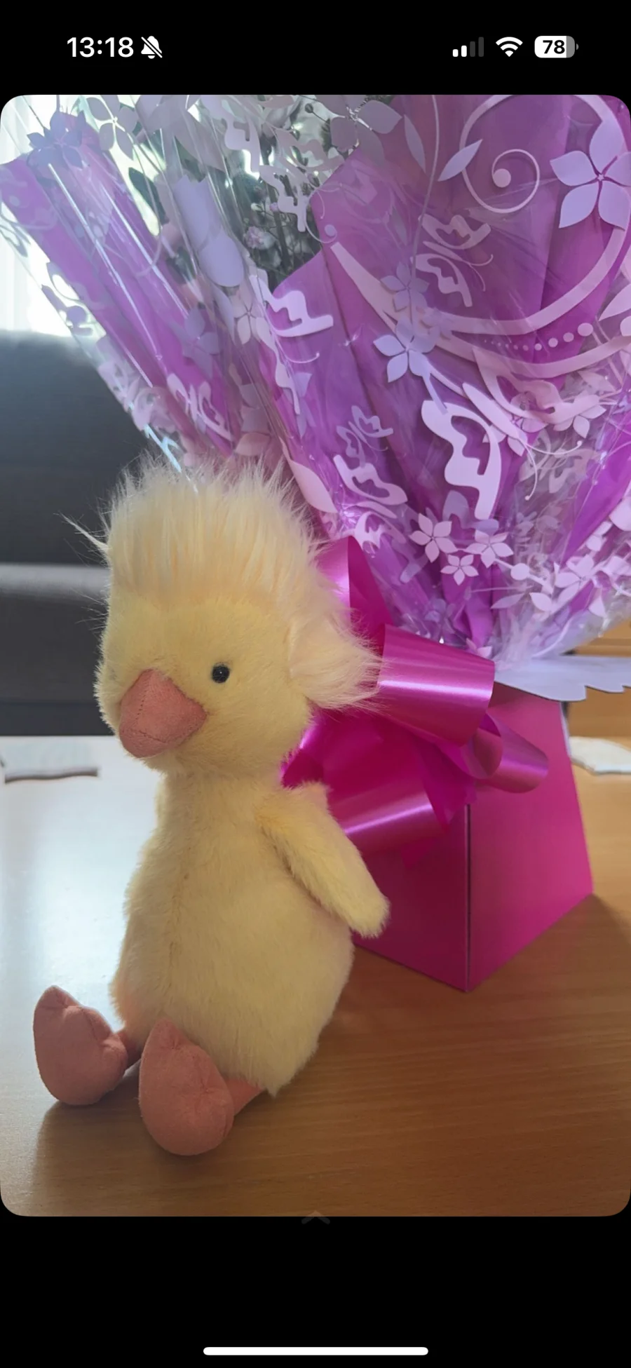 Front - Dorit Duckling photo by rebekah_x