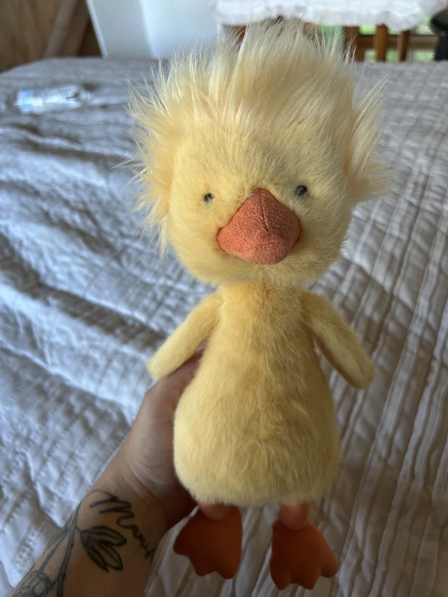 Front - Dorit Duckling photo by Babygelfling