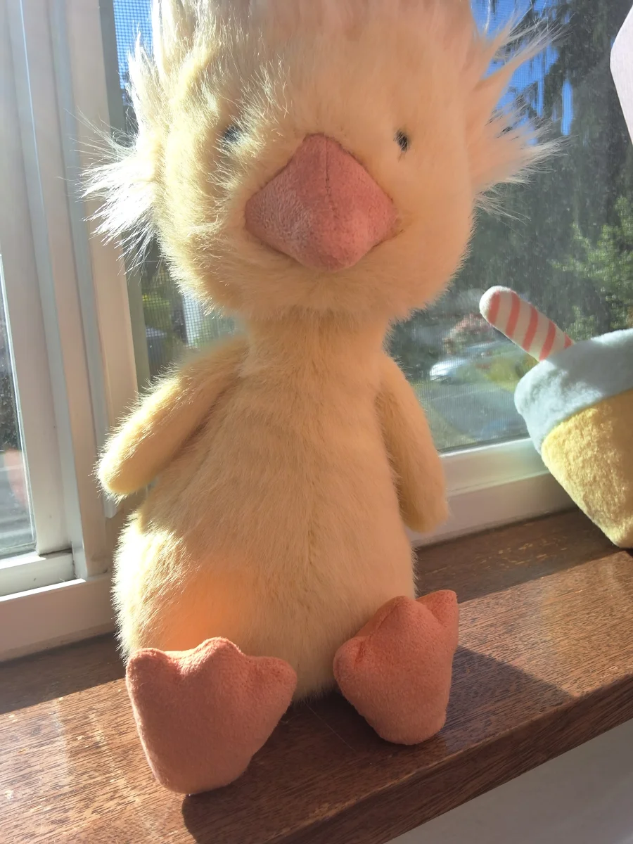 Front - Dorit Duckling photo by Jamalpha_summer