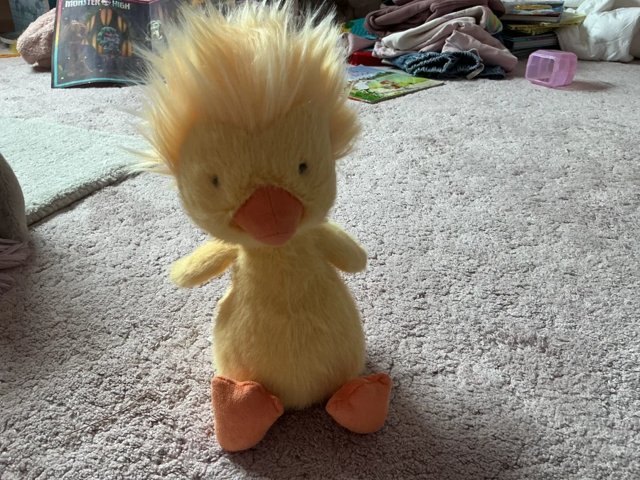 Front - Dorit Duckling photo by Asdqueen5678