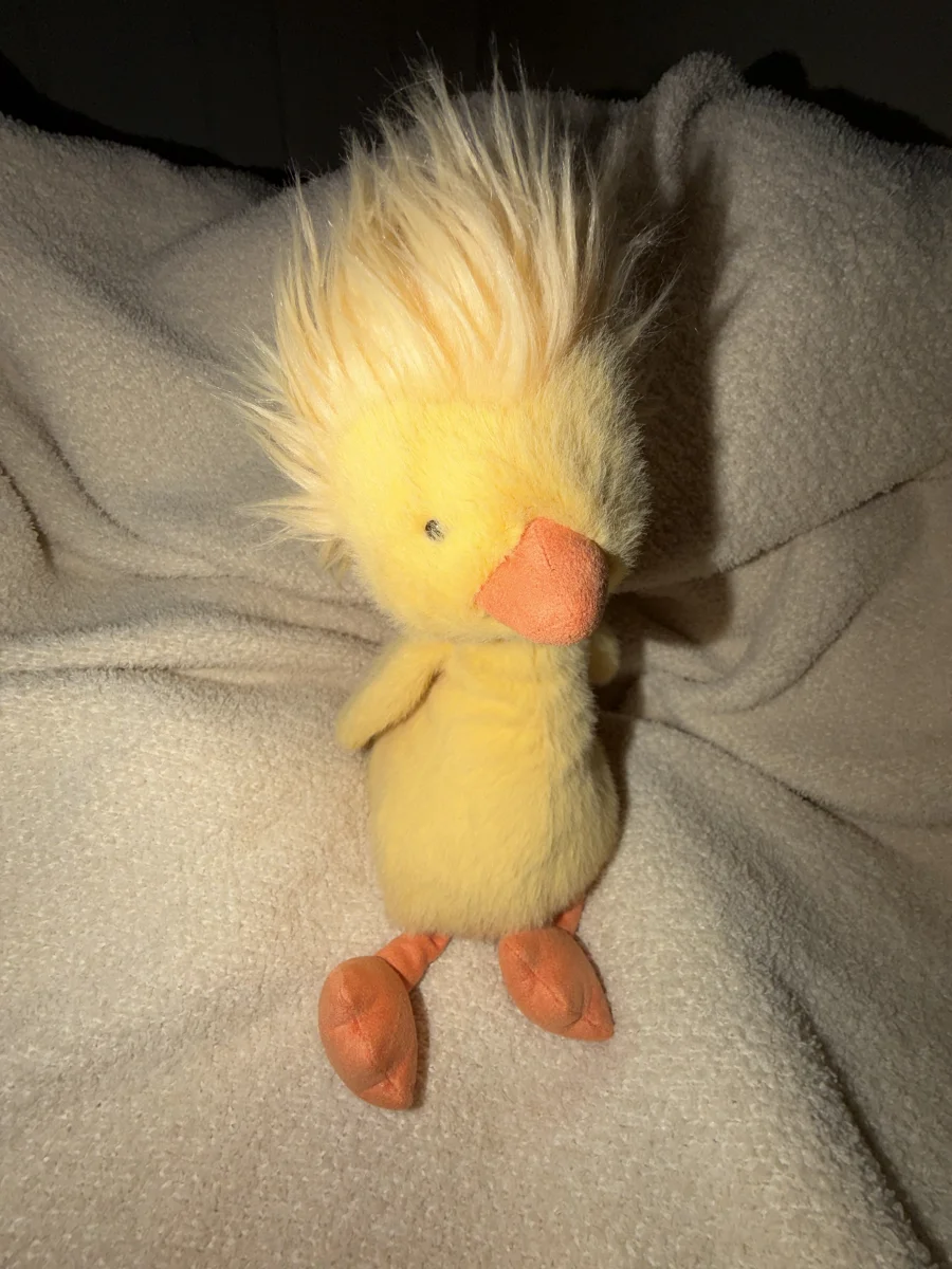 Front - Dorit Duckling photo by dannyellaella