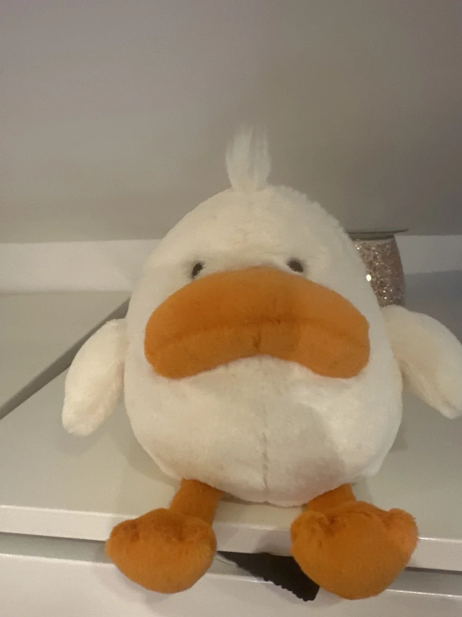 Front - Delia Duck photo by Rickyyyrainfrog