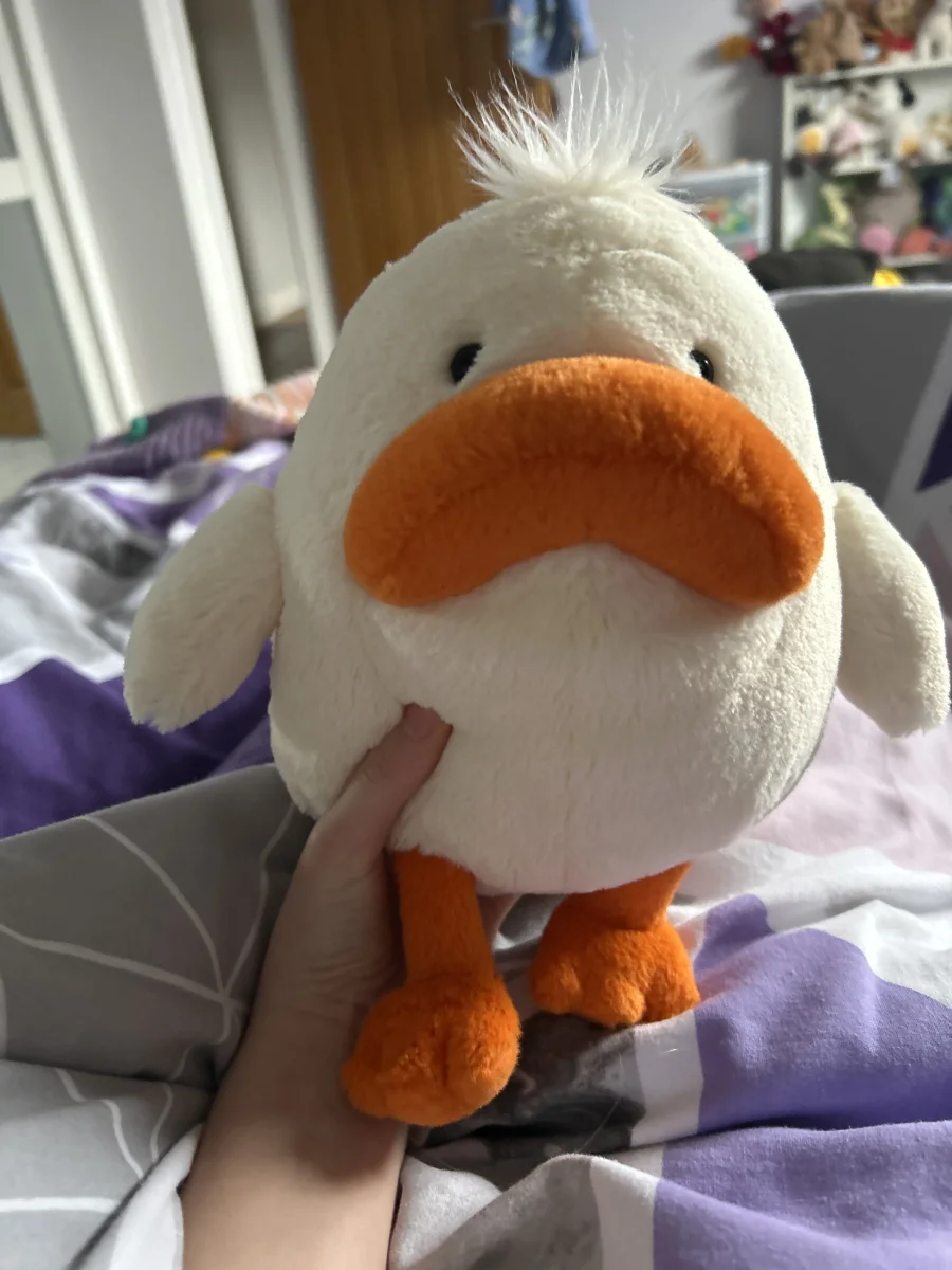 Front - Delia Duck photo by Harper_hello
