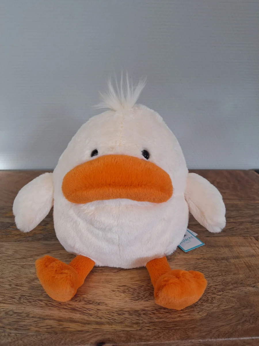 Front - Delia Duck photo by Sofie