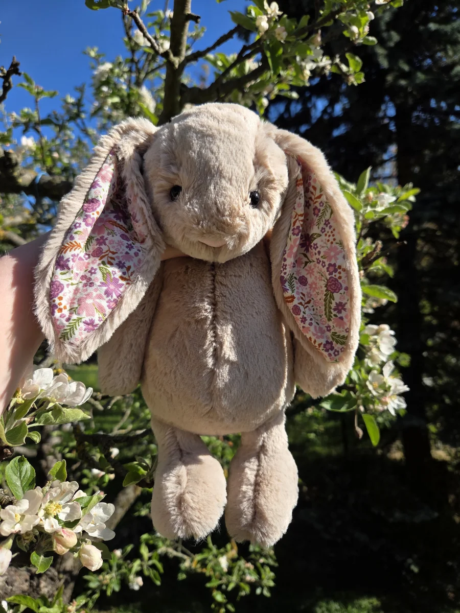 Front - Blossom Beige Bunny 'Petal' - Medium photo by Eliza23