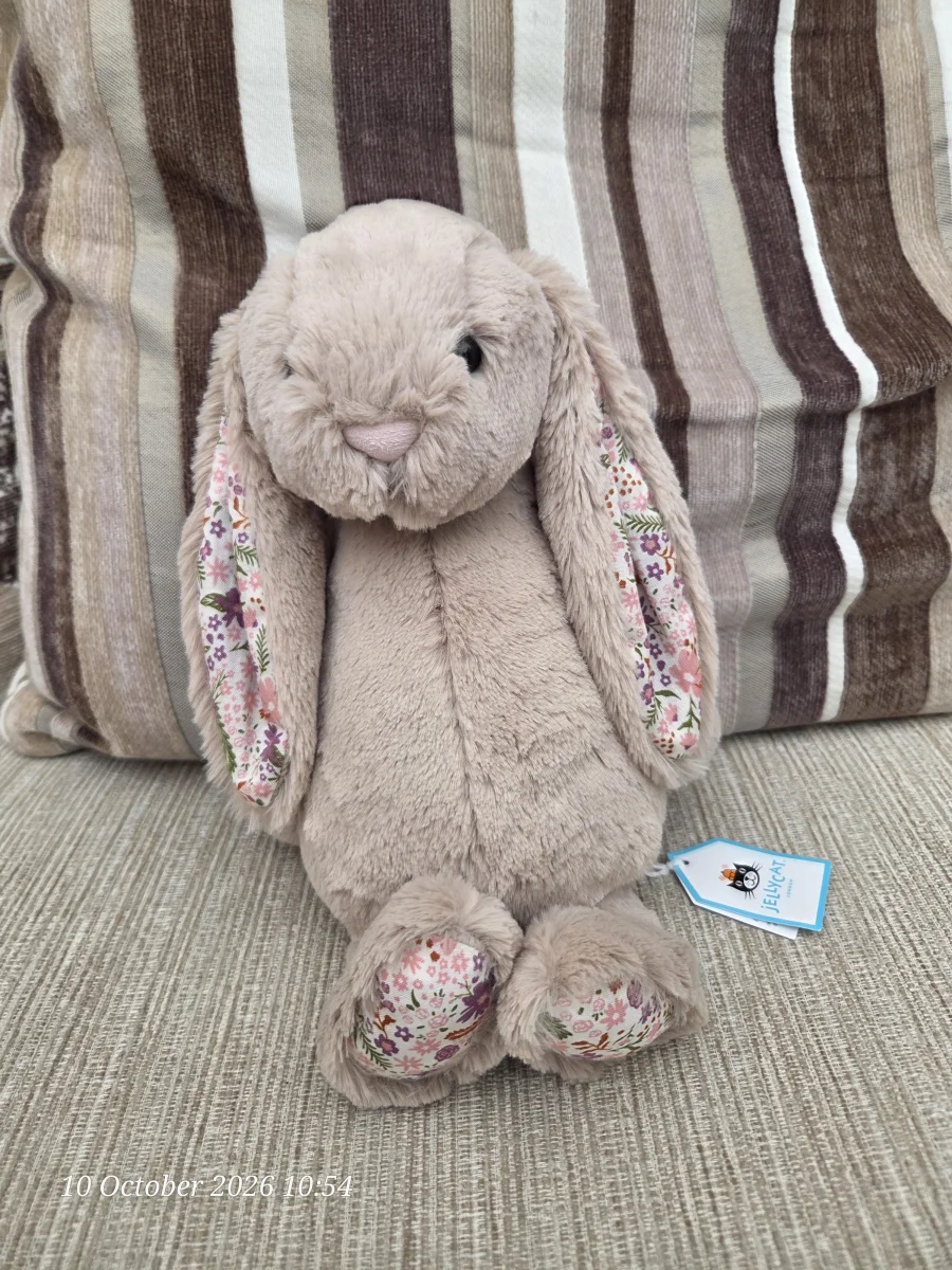 Front - Blossom Beige Bunny 'Petal' - Medium photo by SJCLJelly