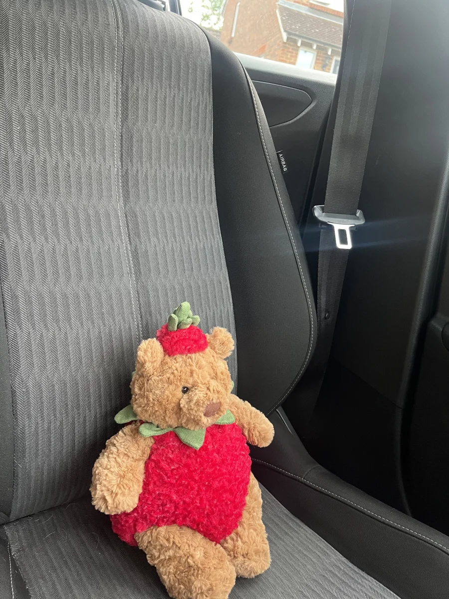 Front - Bartholomew Bear Strawberry photo by Lozberry13