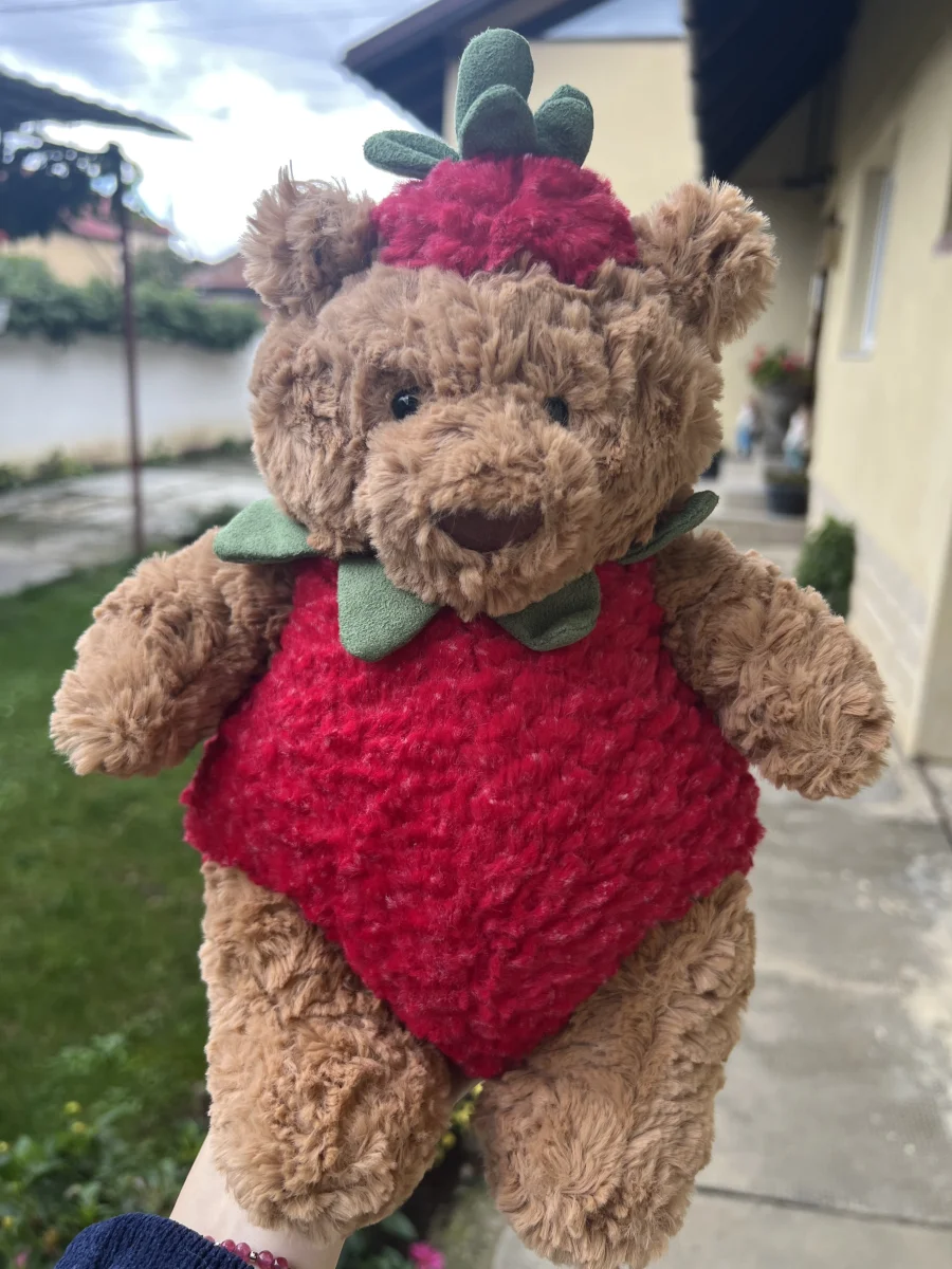 Front - Bartholomew Bear Strawberry photo by carlasplushies