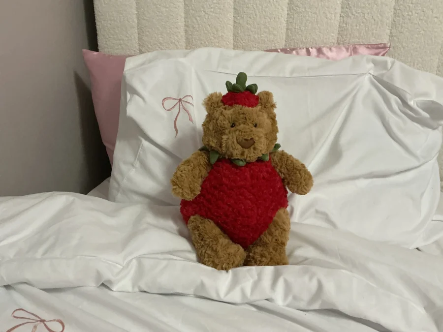 Front - Bartholomew Bear Strawberry photo by NaanaB15