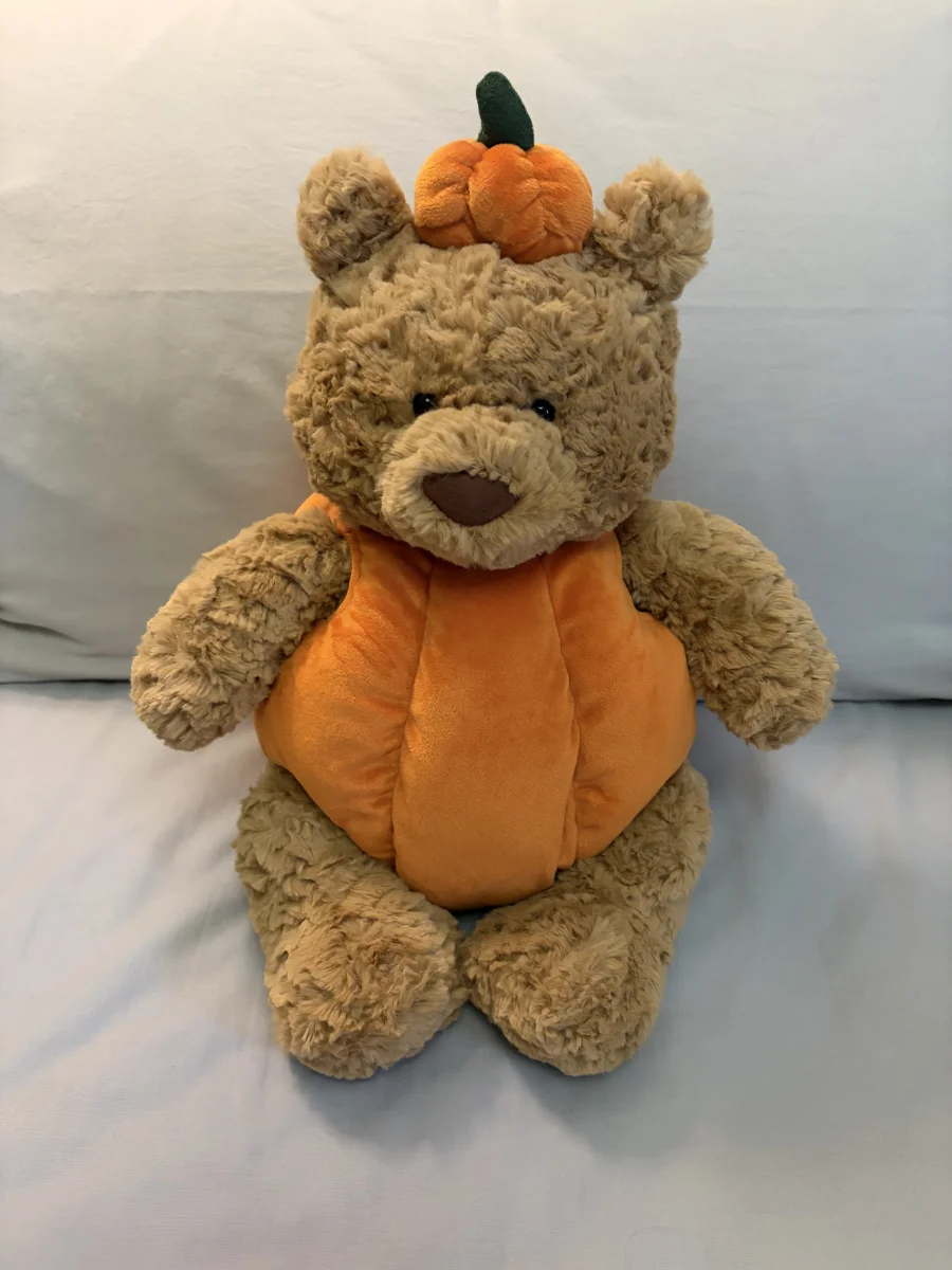 Front - Bartholomew Bear Pumpkin photo by twigletfitz