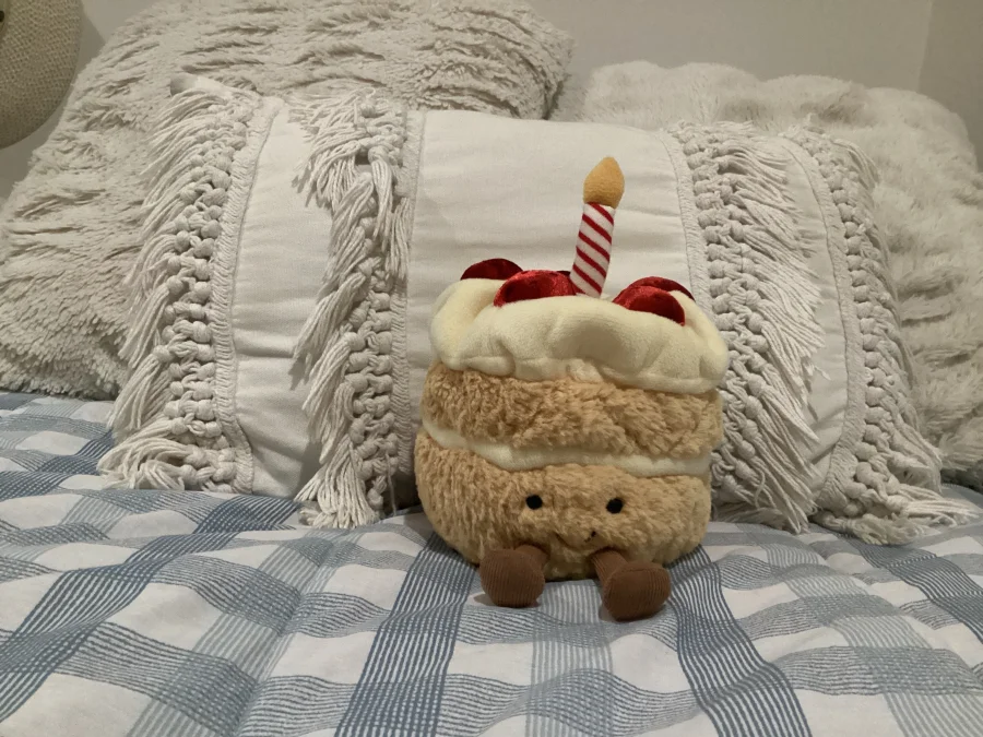 Front - Amuseables Birthday Cake photo by Lacey67